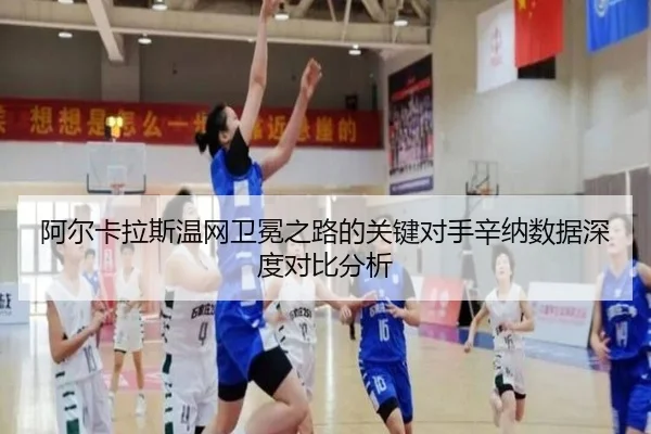 a-er-ka-la-si-wen-wang-wei-mian-zhi-lu-de-guan-jian-dui-shou-xin-na-shu-ju-shen-du-dui-bi-fen-xi-3-696.jpg