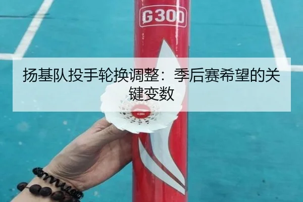 扬基队投手轮换调整：季后赛希望的关键变数