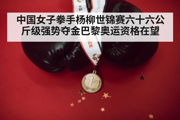 boxing gold medal