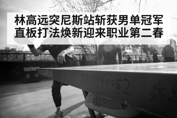 林高远突尼斯站斩获男单冠军直板打法焕新迎来职业第二春